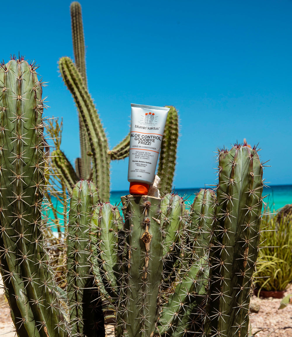 Blumin Kaktus Aloe Control, Goodbye Frizz! Leave-in Conditioner 200ml