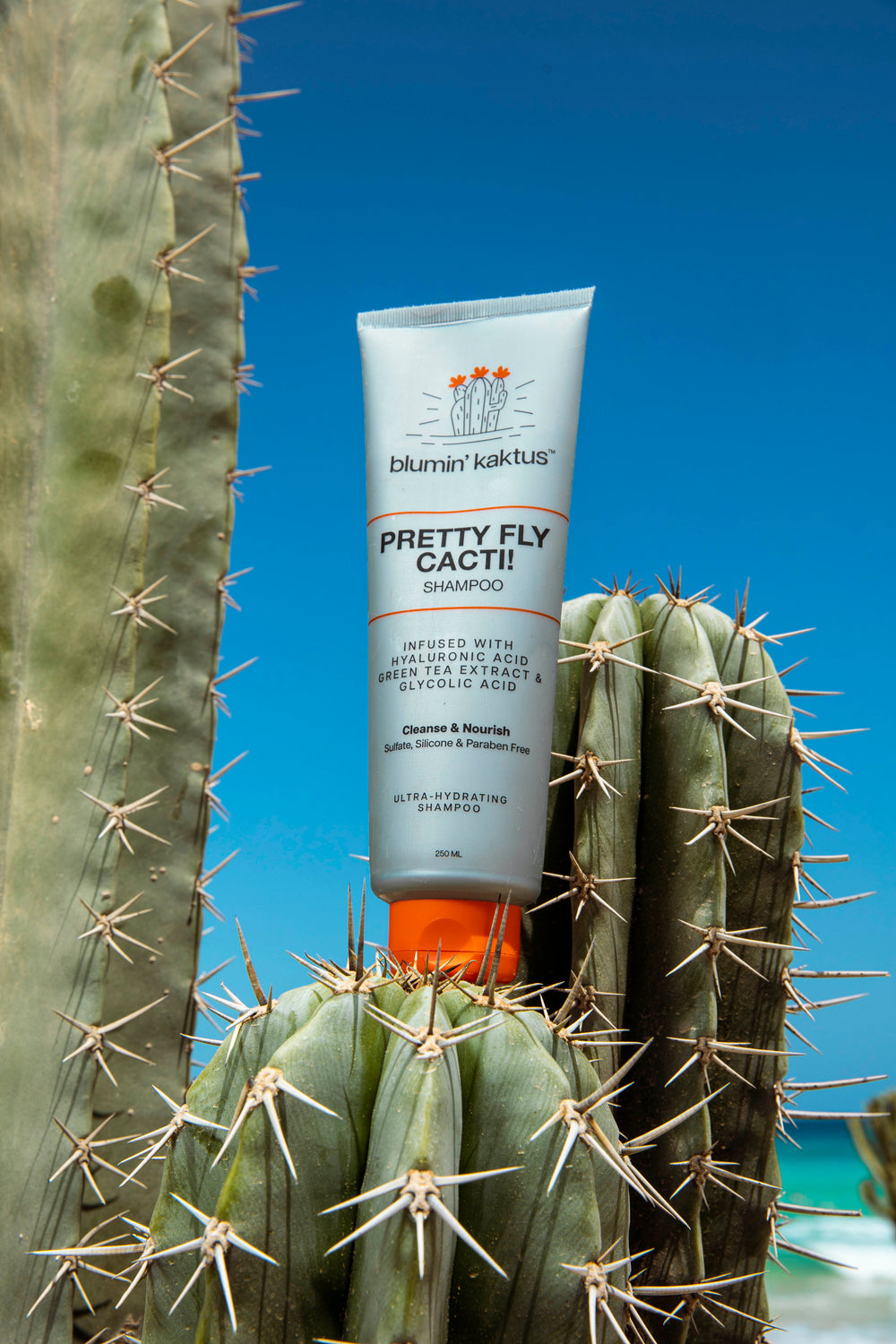 Blumin Kaktus Pretty Fly Cacti! Shampoo 250ml